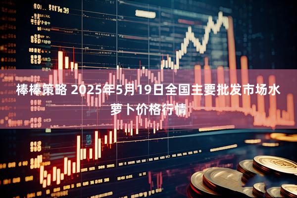 棒棒策略 2025年5月19日全国主要批发市场水萝卜价格行情