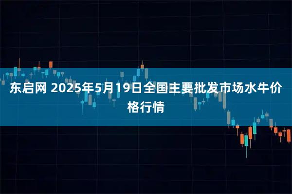 东启网 2025年5月19日全国主要批发市场水牛价格行情