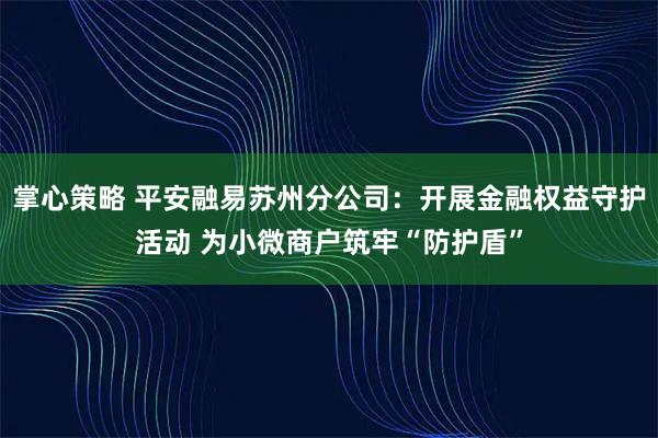 掌心策略 平安融易苏州分公司：开展金融权益守护活动 为小微商户筑牢“防护盾”