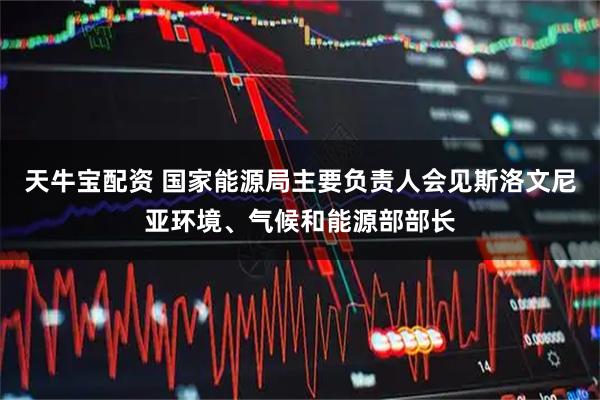 天牛宝配资 国家能源局主要负责人会见斯洛文尼亚环境、气候和能源部部长