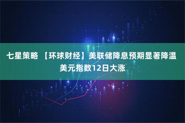 七星策略 【环球财经】美联储降息预期显著降温 美元指数12日大涨